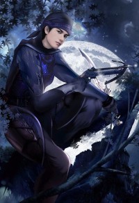 武林沉沦之染衣小传(同人)